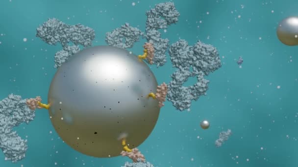 Antikor Birleştirilmiş Manyetik Nanopartiküllerin Yakın Plan Boyutlu Animasyonu — Stok video