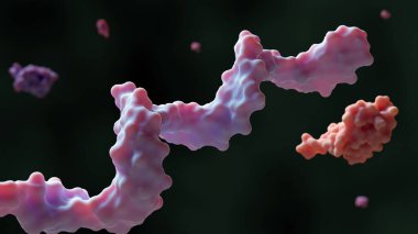 Protein GDNA 'sı, biyolojik analiz çipleri veya parçacıklarının yüzeyindeki istenen alana bir antikor eşleştirmesi yapar; 3D