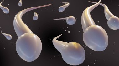 Siyah arkaplanda yüzen sperm hücrelerinin 3D görüntülenmesi