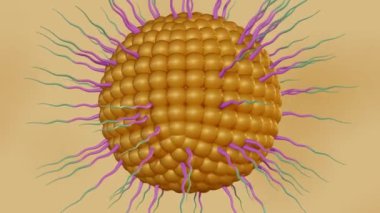 Lipid kaplamalı polimerik nanopartiküllerin 3D animasyonu uyuşturucu teslimatı için polietilen glikol üretti.
