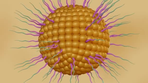 Animação Nanopartículas Poliméricas Revestidas Lipídios Conjugado Poli Etilenoglicol Para Entrega — Vídeo de Stock