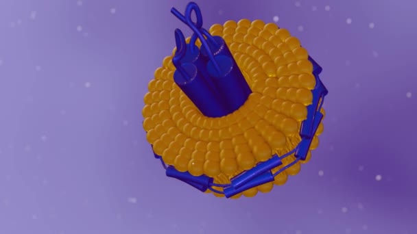 Nanodiskin Animasyonu Fosfolipidler Fosfobikleri Bir Arada Tutan Stabilize Kemerden Oluşur — Stok video