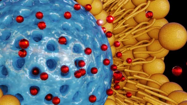 Lipid Bilayer Kaplamalı Mezopporöz Silika Nanopartiküller Hedeflenen Uyuşturucu Teslimatı Üretilmiş — Stok video