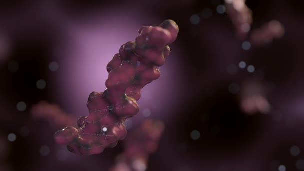 Tato Animace Ilustruje Glukagon Peptidový Hormon Vylučovaný Alfa Buňkami Slinivky — Stock video