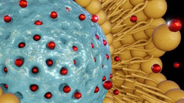 Lipid bilayer kaplamalı mezopporöz silika nanopartiküller: Hedeflenen uyuşturucu teslimatı ve 3D üretilmiş nanotıp salınımı için ortaya çıkan nanocarrier 'ler