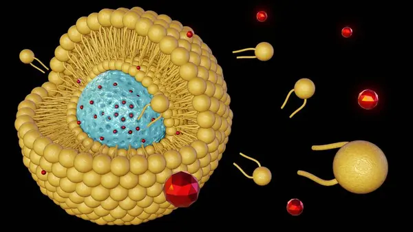 Tvåskiktsbelagda Mesoporösa Nanopartiklar Kiseldioxid Framväxande Nanobärare För Riktad Läkemedelstillförsel Och Royaltyfria Stockbilder