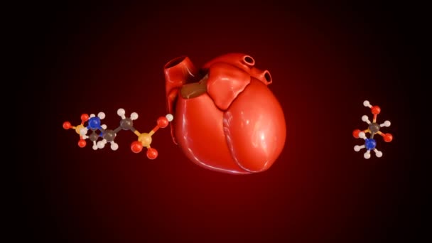 Animatie Van Aminoethanesulfonzuur Taurine Moleculen Roteren Menselijk Hart Taurine Kan — Stockvideo