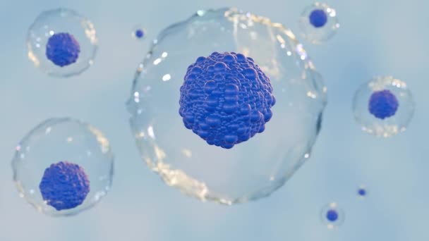 Farklı Tipte Hücrelere Dönüşebilen Uzmanlaşmamış Hücreler Olan Bir Kök Hücre — Stok video