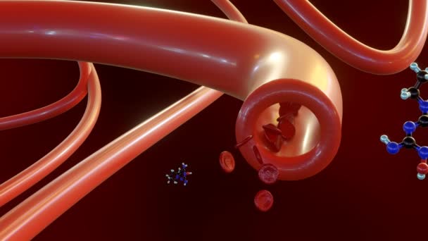 ミノキシジル分子の3Dアニメーションは直接血管に影響を与える 血管をリラックスさせるミノ酸化物の作用は 血流を容易にし それによって血圧を下げる — ストック動画