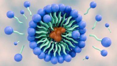 Sabun moleküllerinin 3 boyutlu canlandırılması micelle adı verilen yapılar oluşturur. Suda bir emülsiyon oluşturur ve giysilerimizi yıkarken kiri çözmemize yardımcı olur..