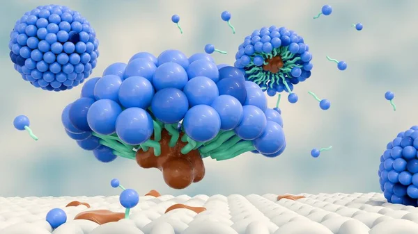 Трехмерный Рендеринг Молекул Мыла Образует Структуры Называемые Мицеллами Образует Эмульсию Стоковое Изображение