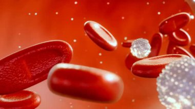Ovalosit ya da puro hücreleri olarak da bilinen üç boyutlu eliptotitler kan damarının içinde.