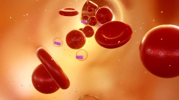 Απόδοση Των Σφαιρικών Κυττάρων Είναι Ένα Ερυθρό Αιμοκύτταρο Rbc Που — Αρχείο Βίντεο