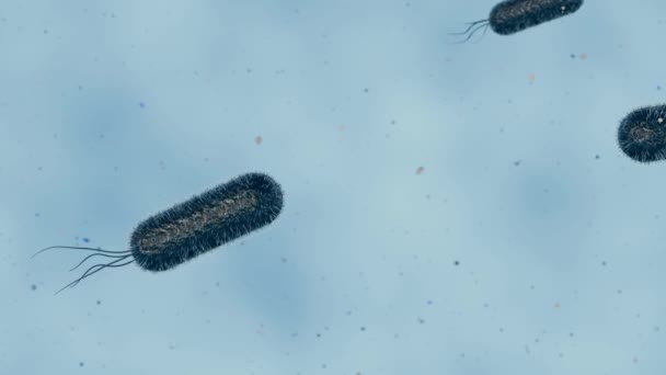 Koli Basili Dağılımının Mikroskobik Seviyede Boyutlu Animasyonu — Stok video