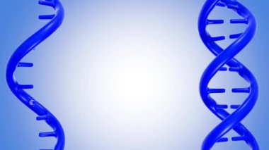 Aralarında boşluk olan dönen DNA ve RNA 'nın 3d animasyonu