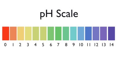 3d pH (hidrojen potansiyeli) ya da asit ve alkali çözümler için değer ölçeği.