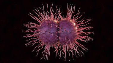 3 boyutlu Neisseria gonorrhoeae bakterisi. Belsoğukluğu cinsel yolla bulaşan bir enfeksiyondur.