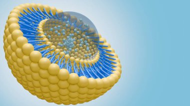 Liposome lipid bilayer içinde nanotıp 3D görüntüleme