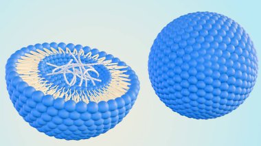 3d rendering of DNA helixes inside of liposome clipart