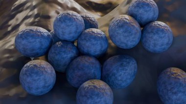 MRSA 'nın 3D görüntülemesi, metisiline dayanıklı Staphylococcus aureus anlamına geliyor. Birkaç antibiyotiğe dirençli bir bakteri türü.
