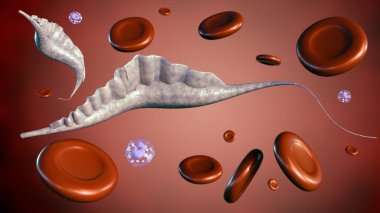 Trypanosoma cinsinin 3 boyutlu protozoanları, uyku hastalığı olarak da bilinen insan Afrika tripanozomisine neden olur.,