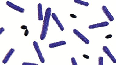 3d rendering of Clostridium botulinum isolated on the white background clipart