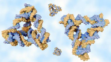 DNA tetrahedronunun 3 boyutlu canlandırması mekanik olarak dayanıklı olmak için tasarlanmıştır; DNA sarmallarının sert üçgenlerinden oluşur.