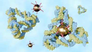 3d rendering of conjugated gold nanoparticles inside of  DNA tetrahedron clipart