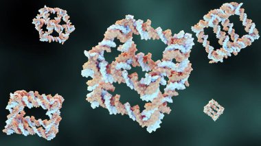 3d rendering of the construction from DNA of a covalently closed cube-like molecular complex  clipart