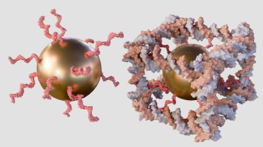 3d rendering of gold nanoparticles conjugated inside of the construction from DNA of a covalently closed cube-like molecular complex  clipart