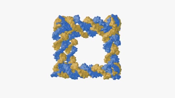 Animace Konstrukce Dna Kovalentně Uzavřeného Molekulárního Komplexu Podobného Krychli — Stock video