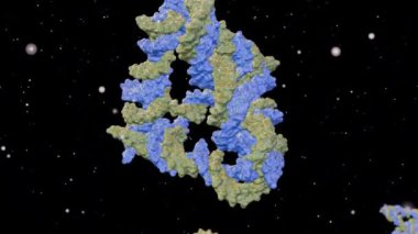DNA tetrahedronunun 3d animasyonu mekanik olarak sağlam olmak için tasarlanmıştır; DNA sarmallarının sert üçgenlerinden oluşur.