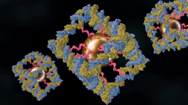 Animacja Nanocząsteczek Złota Sprzężonych Wewnątrz Konstrukcji Dna Kowalencyjnie Zamkniętego Kompleksu — Wideo stockowe