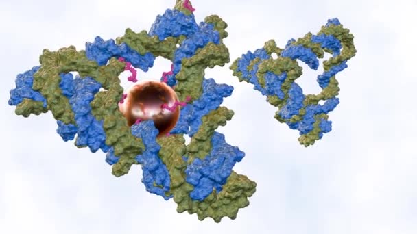 Animation Conjugated Gold Nanoparticles Dna Tetrahedron — Stockvideo