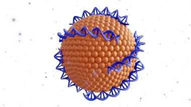 DNA sarmallarının 3D görüntülenmesi DNA-Liposome kompleksi olarak birleştirilmiş liposomlar