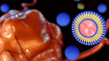 Yüzen liposomun 3D görüntülemesi vücudun içindeki kanser hücrelerini hedef alıyor