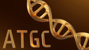 3d rendering of Gold ATGC letters background. Adenine, thymine, cytosine and guanine are the four nucleotides found in DNA clipart