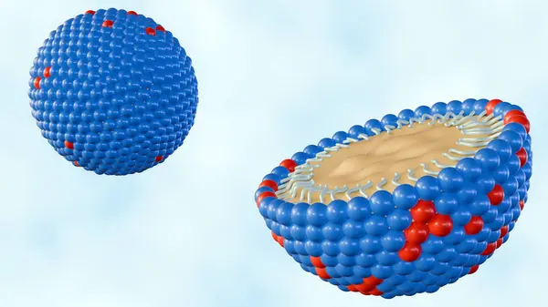 stock image 3d rendering of The nanoemulsions (NE) are tiny molecules that carry the drug components in its core. The structure is organic surfactant, oil or active ingredient and co-emulsifier