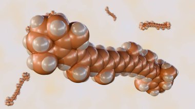 Karotenoid olarak da adlandırılan beta-karoten moleküllerinin 3 boyutlu canlandırılması antioksidan olarak kabul edilir.