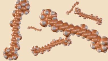Karotenoid olarak da bilinen beta-karoten moleküllerinin 3 boyutlu animasyonu antioksidan olarak kabul edilir.