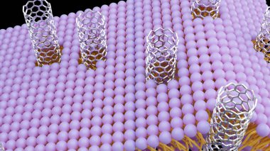 Karbon nanotüp porinlerinin 3 boyutlu görüntülenmesi, biyolojik zar kanalları modeli olan lipit bikatmanına kendini yerleştirebilen kısa karbon nanotüp parçaları..