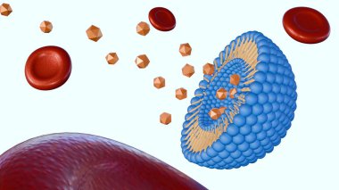 3 boyutlu liposom kırmızı kan hücreli kan damarının içinde.