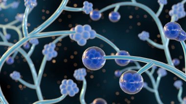 Candida albiclerinin 3D yorumlanması, insan bağırsağı florasının yaygın bir üyesidir.