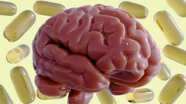 stock image 3D rendering of vitamin B capsules and a human brain. The B vitamins play a crucial role in cognitive function and nervous system support.