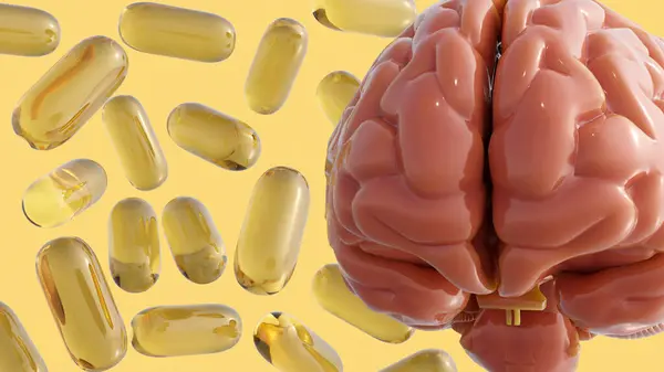 stock image 3D rendering of vitamin B capsules and a human brain. The B vitamins play a crucial role in cognitive function and nervous system support.