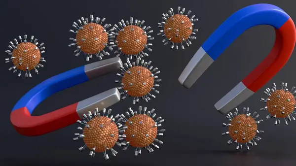 Stock image A 3D rendering of magnetic liposomes. These microscopic drug carriers are embedded with nanoparticles, allowing magnets to guide them to specific areas of the body.