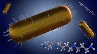 Üç boyutlu bir resimde altın nanoroidler poliamine çekiliyor. Bu tasarım hedeflenmiş uyuşturucu dağıtımı, biyo-geliştirme uygulamaları ve fototermal terapi için umut vadediyor.