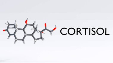 Kortizol moleküllerinin 3 boyutlu görüntülenmesi adrenal bezler tarafından üretilen birincil stres hormonu.