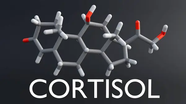 stock image A 3D rendering of cortisol molecules, the primary stress hormone produced by the adrenal glands