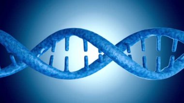 Moleküler DNA sarmalının 3D döndürme ve bükme animasyonu